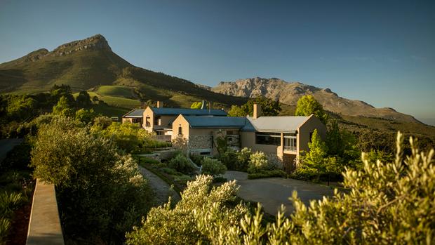 Tokara Winery - Image 2 Tokara Winery - Image 2